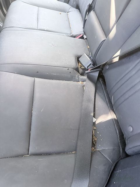 Rear bench of a Lexus NX before cleaning, crumbs along the leather seams